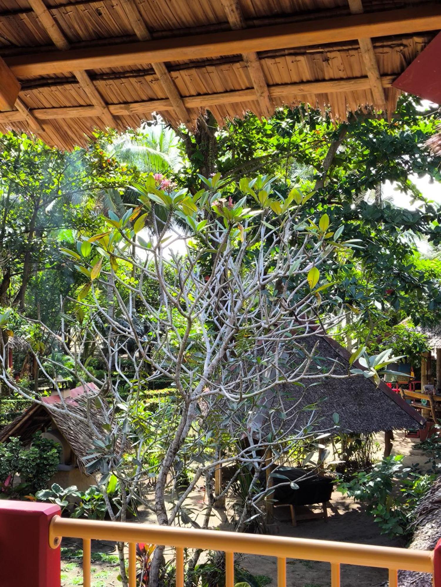 Sulu Sunset Beach Resort Nauhang Exterior photo